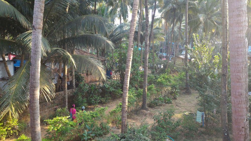 La Alegro Otel Palolem Dış mekan fotoğraf